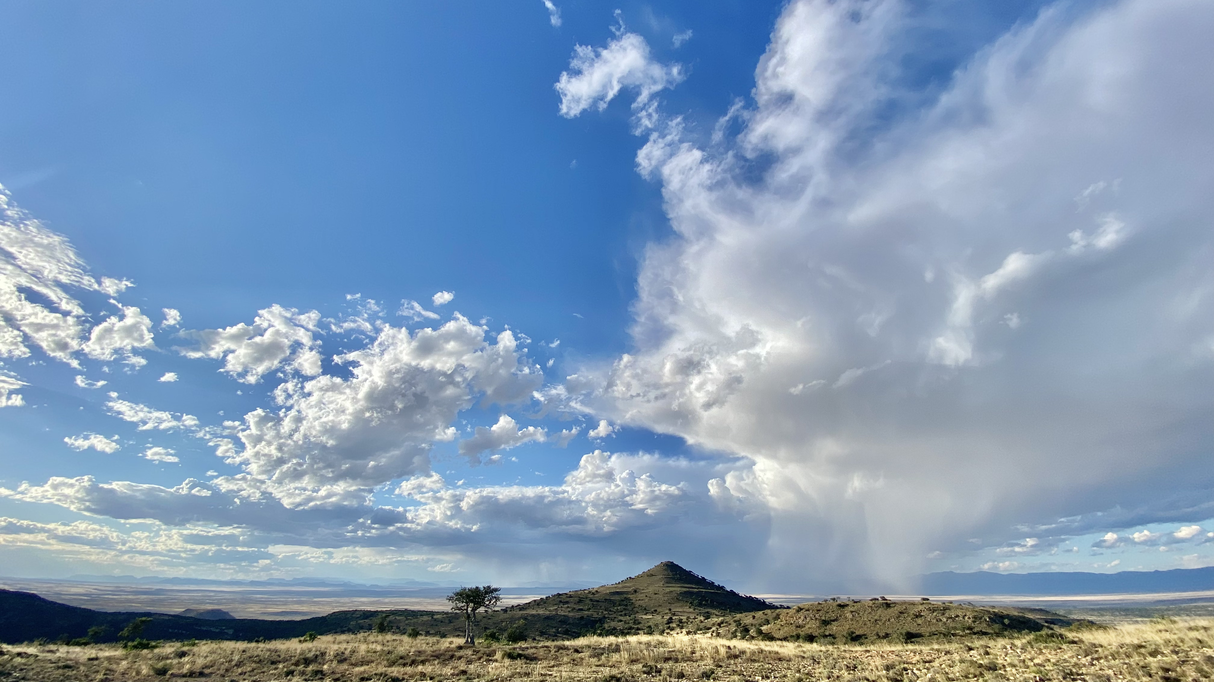 South Africa landscape