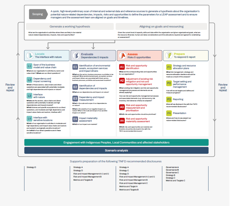 AU_54768_Figure 3_TNFD approach for identification and assessment