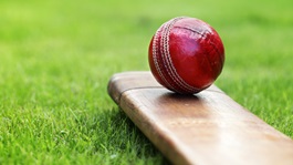 Cricket ball resting on a cricket bat on green grass of cricket pitch