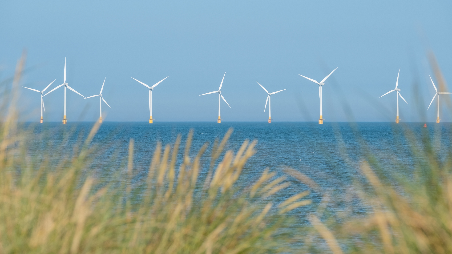 New EPBC Act Key Factors Guidance For Australia’s Offshore Wind ...