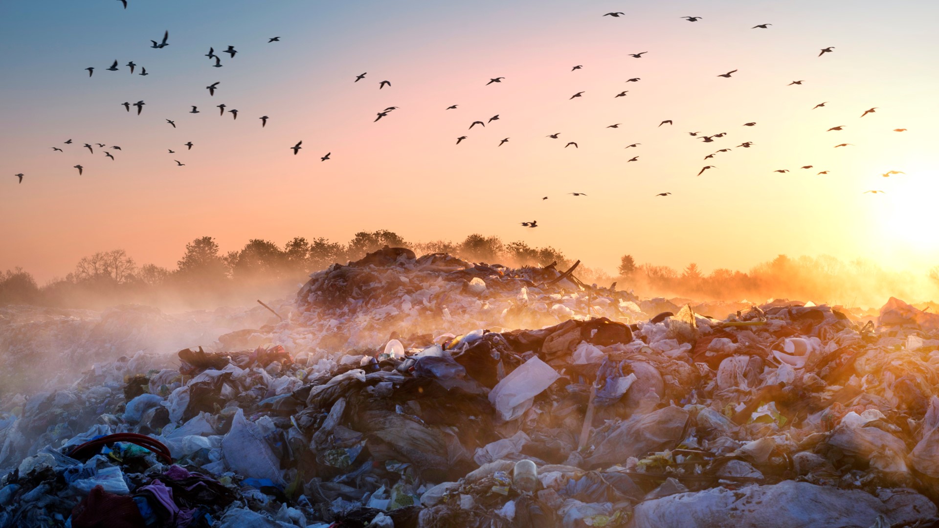 Consultation Underway On New EPA Guidelines For ‘Landfill Buffers ...