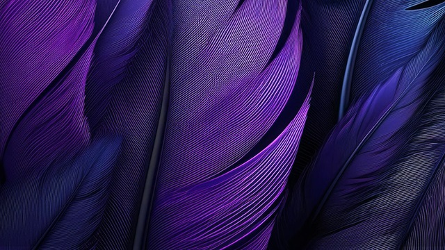 purple feathers