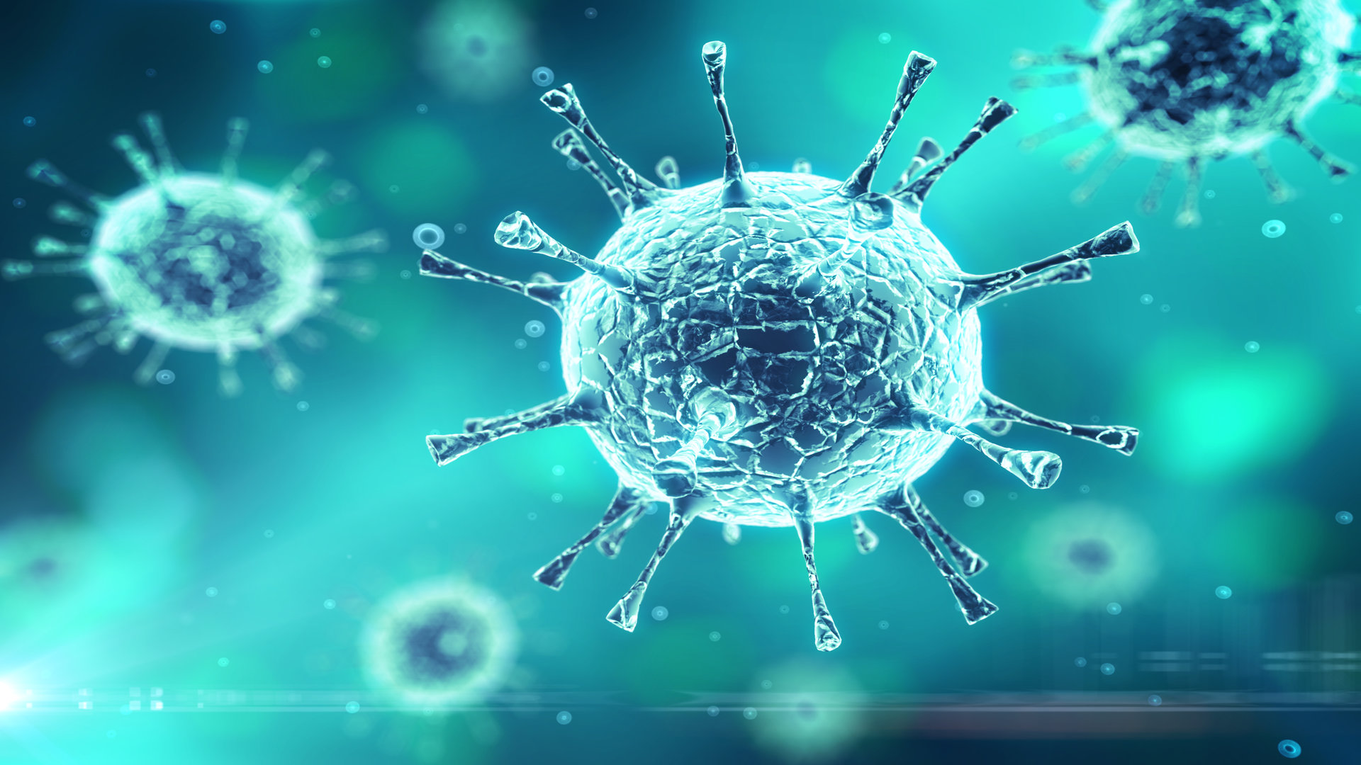 All about the coronavirus