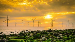 Offshore windfarm with a sunset