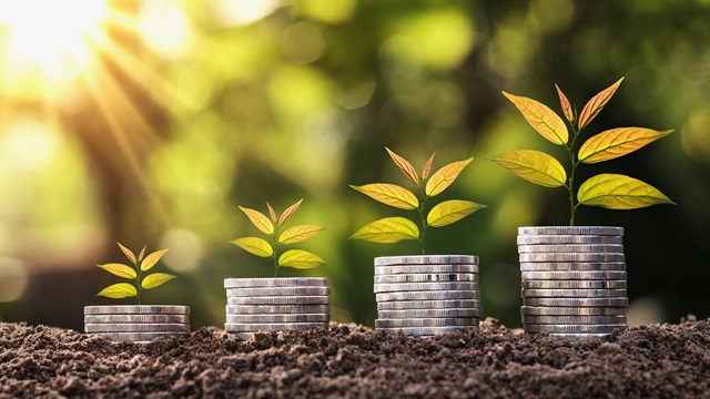 Plant growing on coin stack with sunset