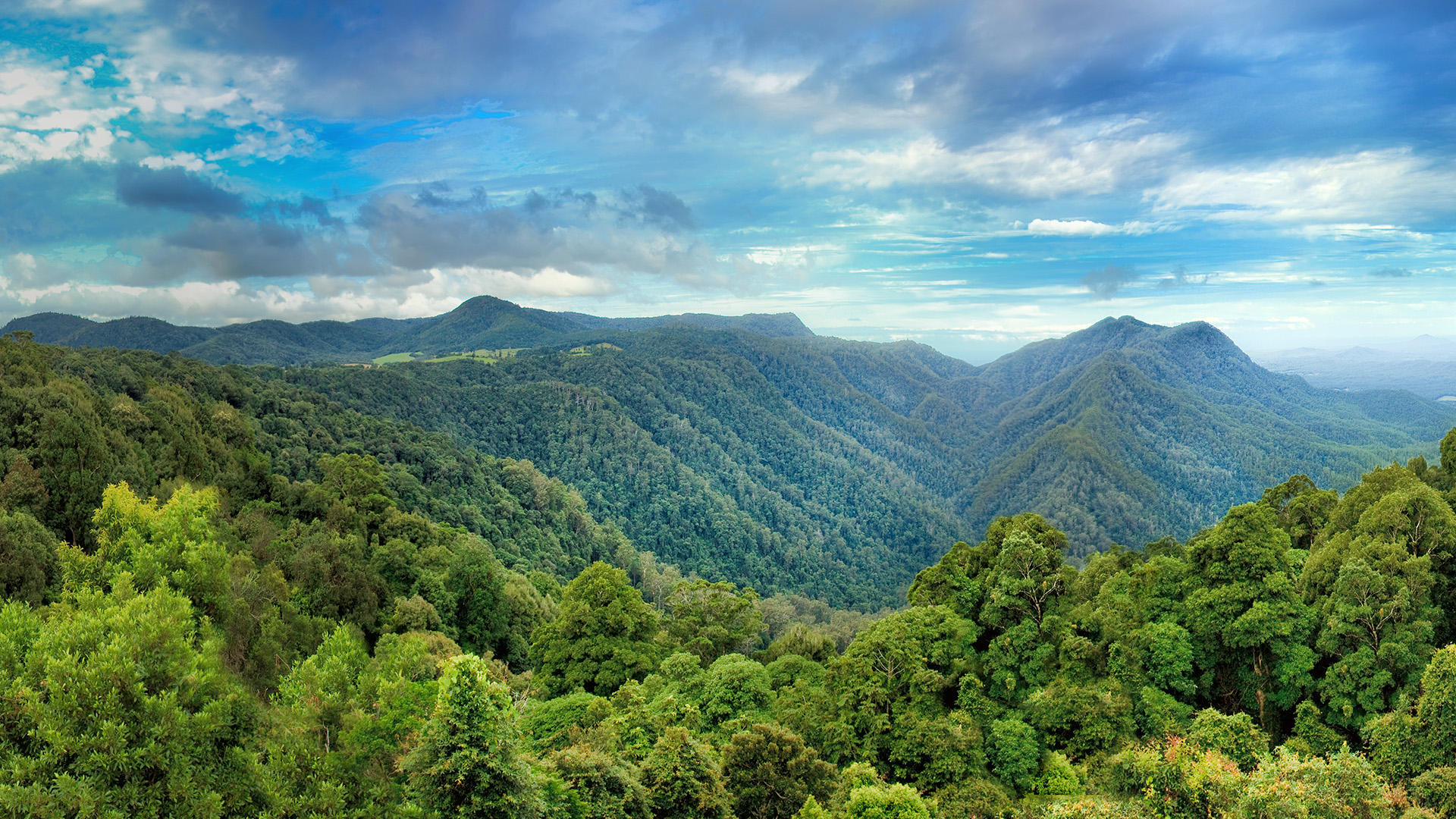 Unlocking Africa's natural capital: Investment opportunities for a sustainable future 