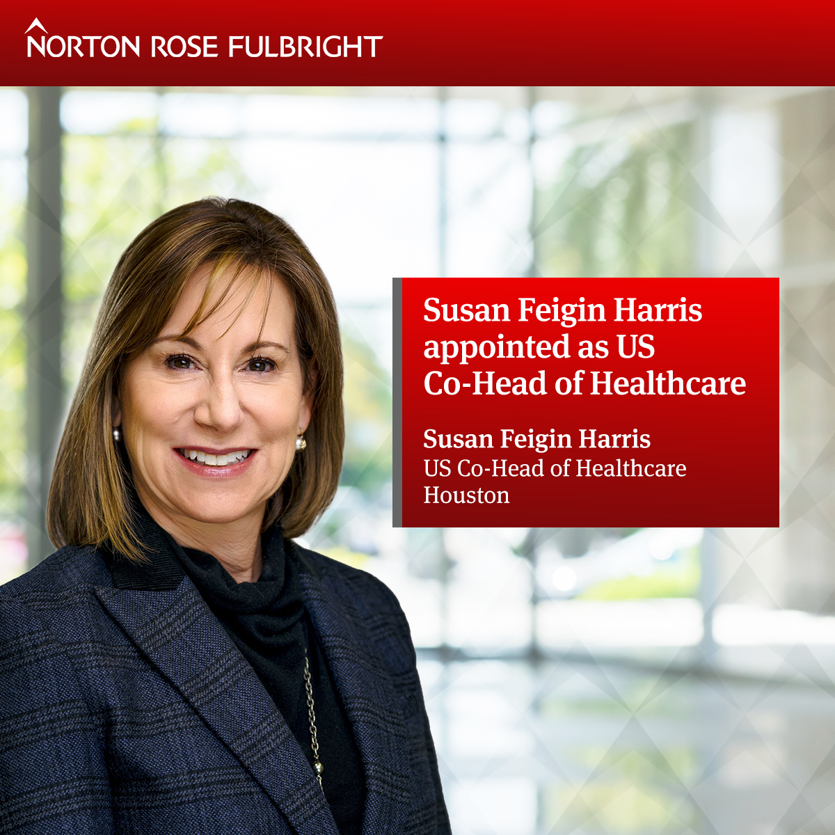 Susan Feigin Harris Appointed As US Co-Head Of Healthcare | Global Law ...