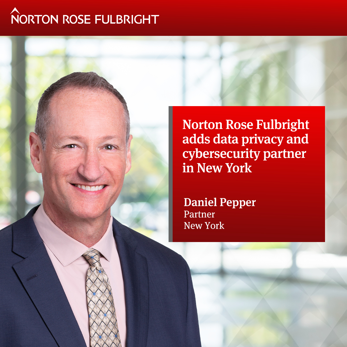 Norton Rose Fulbright Adds Data Privacy And Cybersecurity Partner In ...