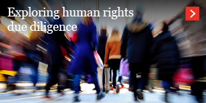  Exploring human rights due diligence 