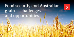  Food security and Australian grain – challenges and opportunities 