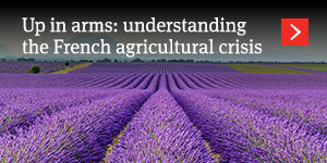  Up in arms: understanding the French agricultural crisis 