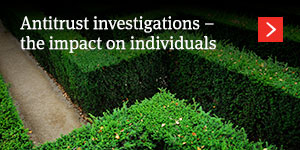  Investigations 