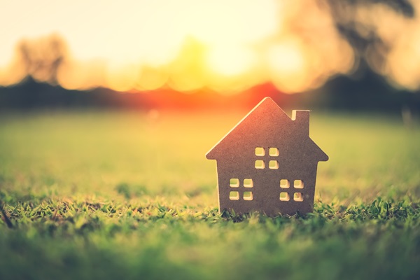 image of cardboard house in field