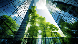 Green trees with buildings