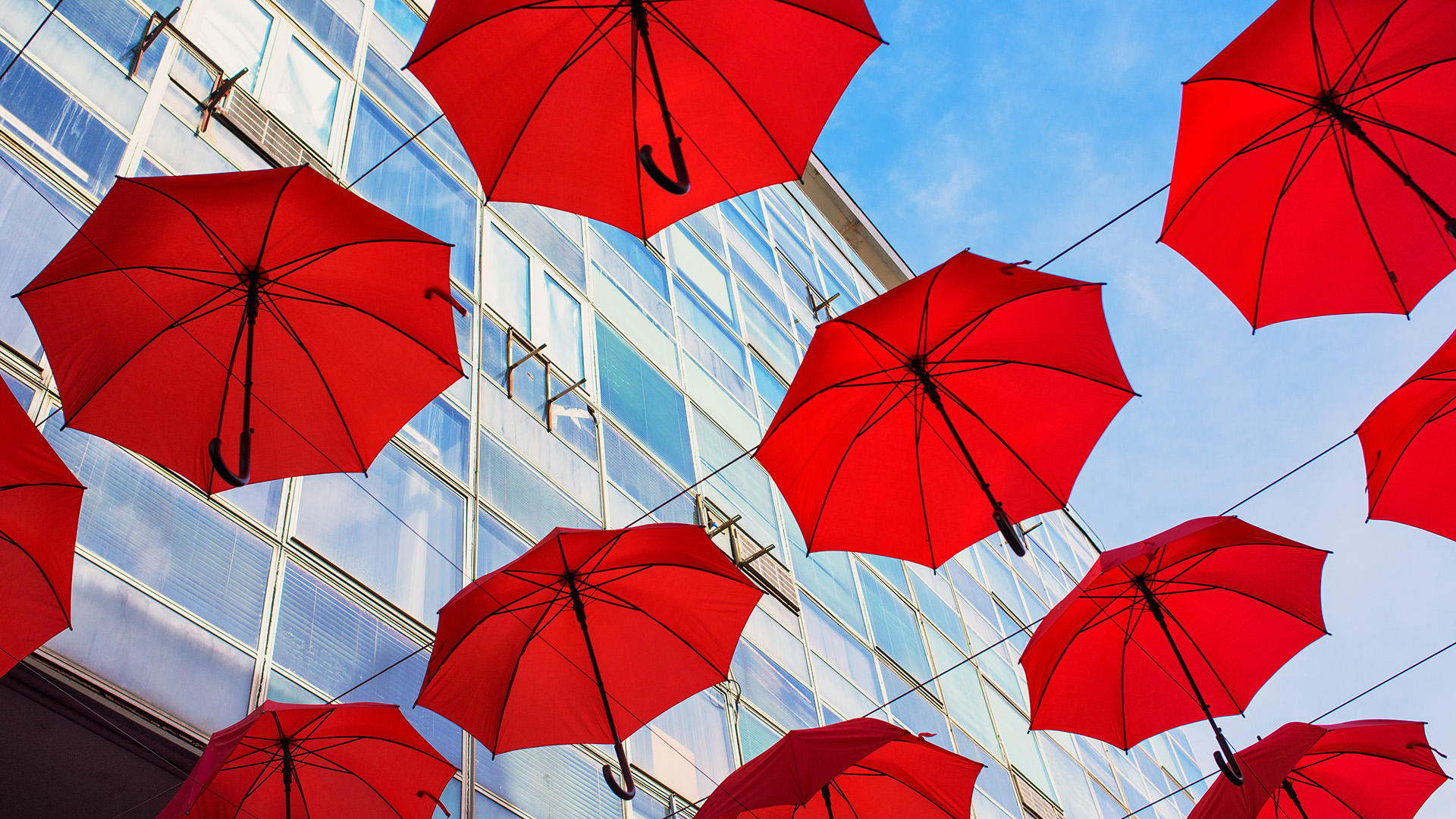 Red umbrellas