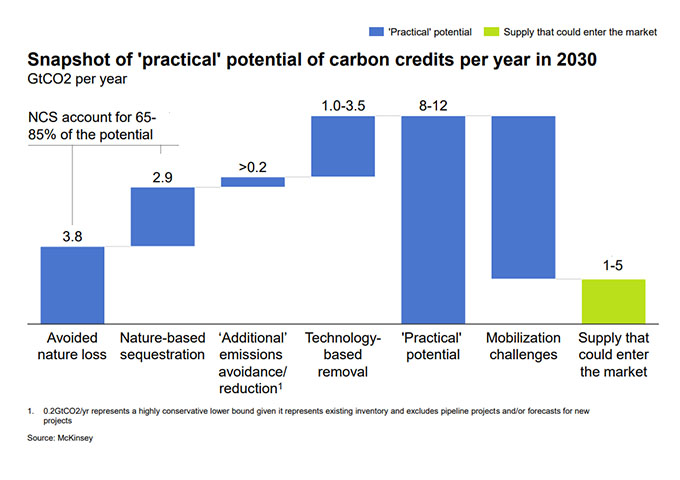 Creating Carbon Offset Units On The Voluntary Market | South Africa ...