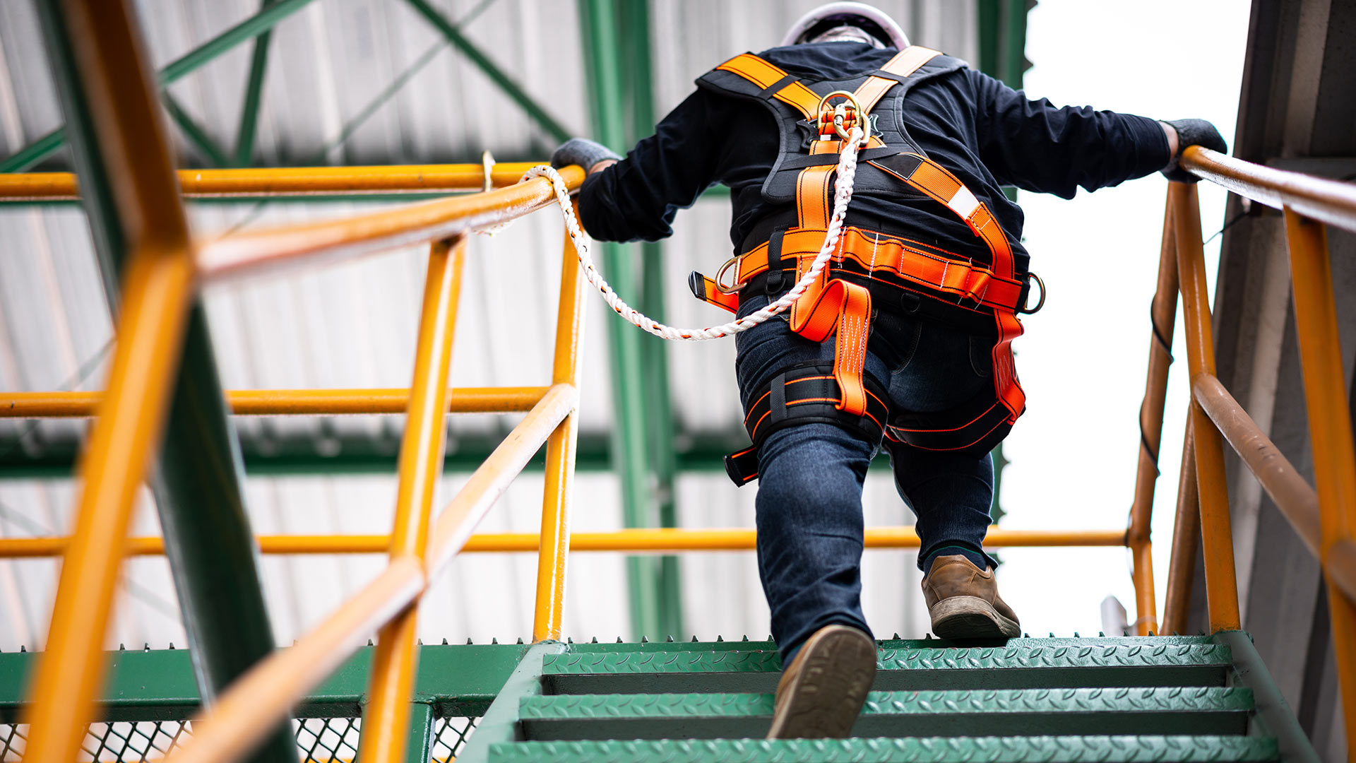 Work health and safety class action risk for directors: An emerging space